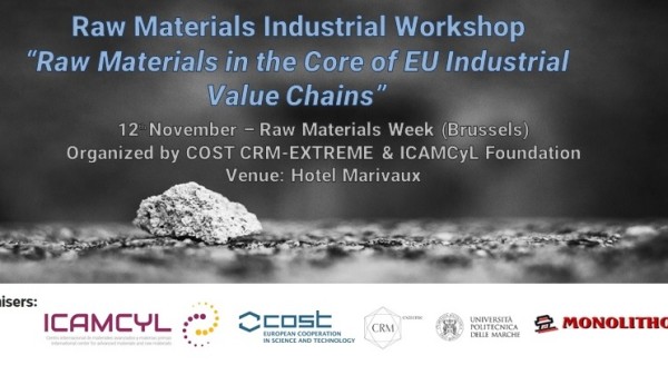 ICAMCyL organises an industrial workshop in the frame of the raw materials week in Brussels